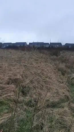 Back Meadows
