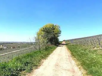 Haardtrand - Gottesacker