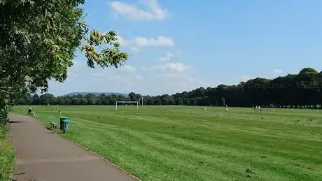 Pontcanna Fields