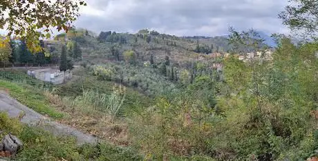 Photo de Curva panoramica del Giovannaccio (Arca di Noè) Corsanico