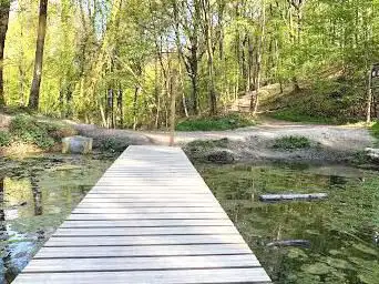 Bois du Prince