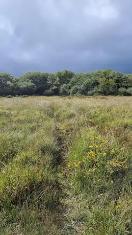 Dunsdon National Nature Reserve Car Park