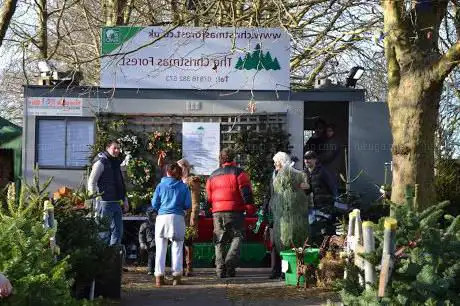 Photo de The Christmas Forest