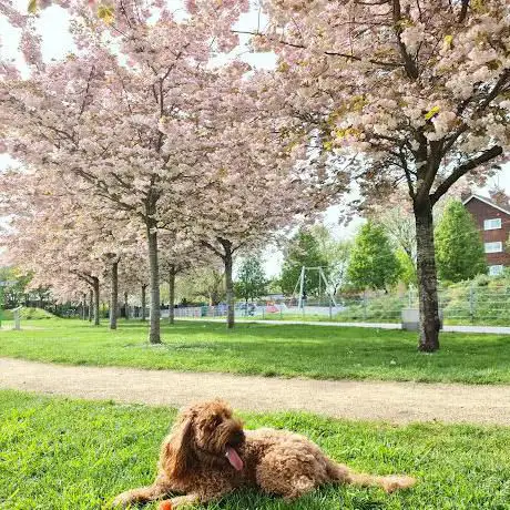 Photo de Keir Hardie Recreation Ground