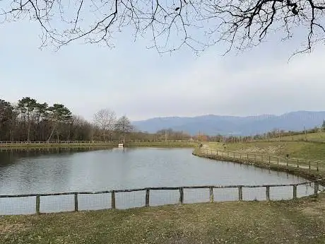 Photo de Il lago di Tracolle
