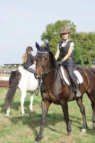 Photo de HARAS DE FOMFEYRE - 40800