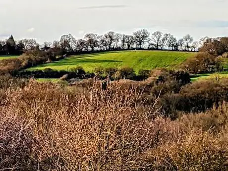 Photo de Tylers Common