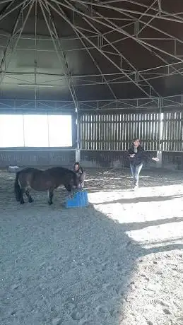 DOMAINE EQUESTRE DE HAUTE MAISON