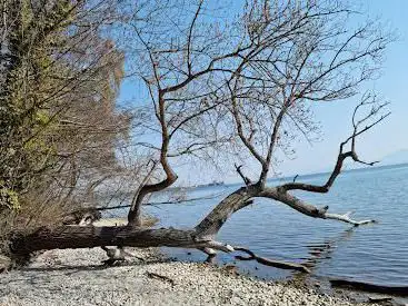 Boiron Plage
