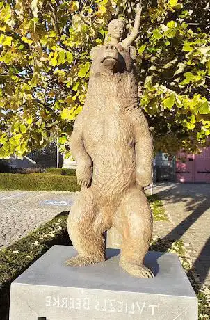 'T VLIEZLS BEERKE