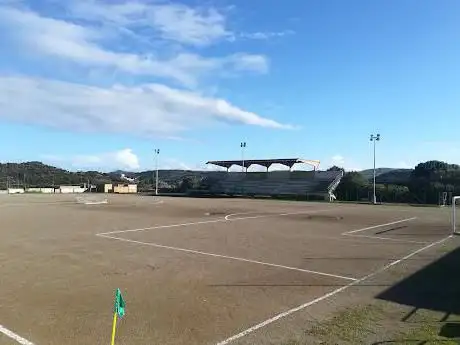 Campo da calcio