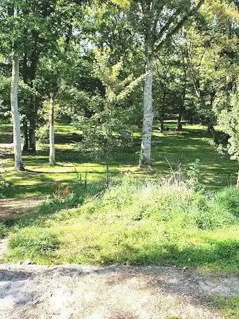 Magnier Woods