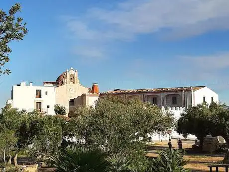 Photo de Oliveres Mil·lenàries de Vinaròs