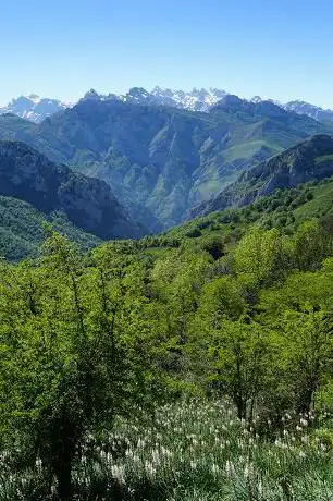 Photo de Reserva natural parcial de Peloño
