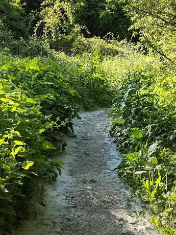 Eastern Road Nature Reserve