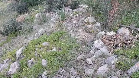 Tombe dei Giganti Arrubieddu