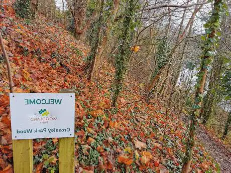 Crossley Park Wood