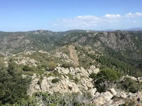 Foresta demaniale di Bolostiu