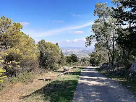 Photo de Pineta