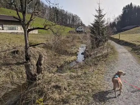 Philosophentalweg