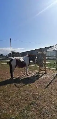 Paradise Ranch A.S.D.
