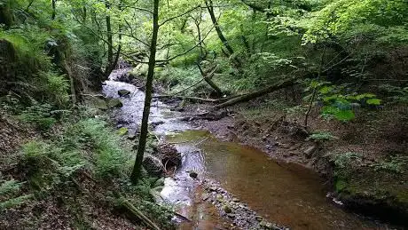 Photo de Gelderwood Caravan & Country Park