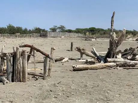 Photo de Spiagge Sacca di Bellocchio