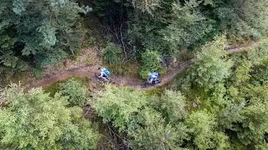 Mountainbikepark Pfälzerwald