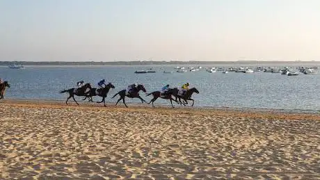 Photo de Meta carreras de caballos Sanlúcar de Barrameda