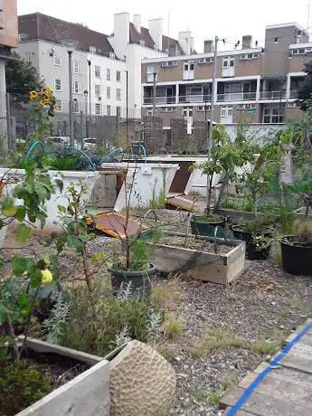 Photo de Story Garden