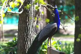 Photo de Le Jardin des Plantes