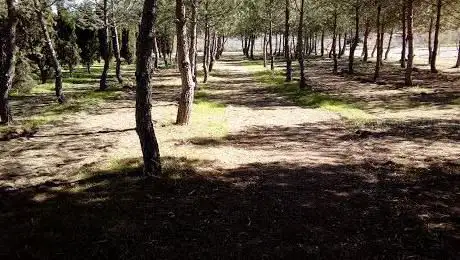 Photo de El Prado