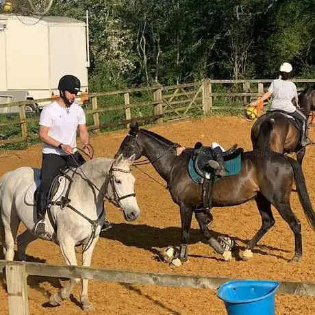 Georgie's equestrian