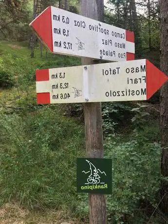 Rankipino
