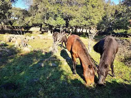 Giara di Tuili