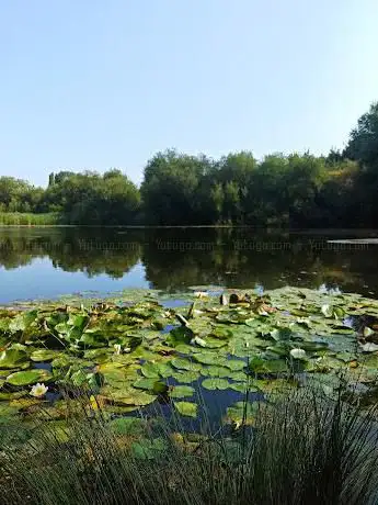 Photo de Stillwater Lake nature reserve