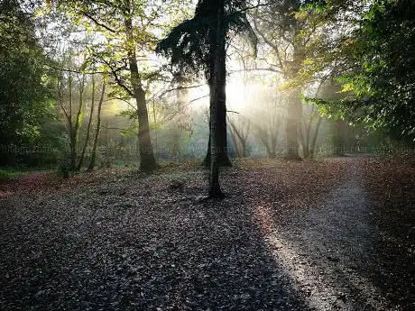 Photo de Ambarrow Wood