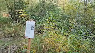 Merz Kiesgrube Nature Reserve