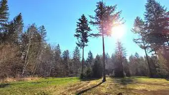 Airpark Wald Info