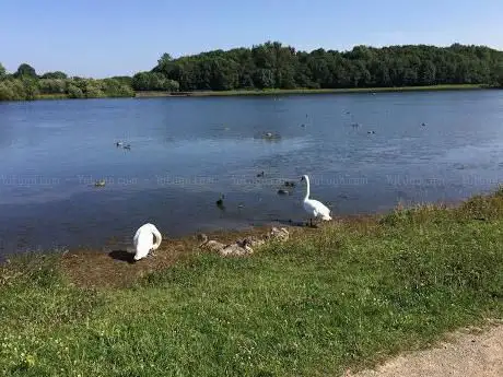 Photo de Lyons Lake