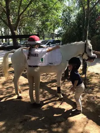 Photo de Il Dragoncello pony club