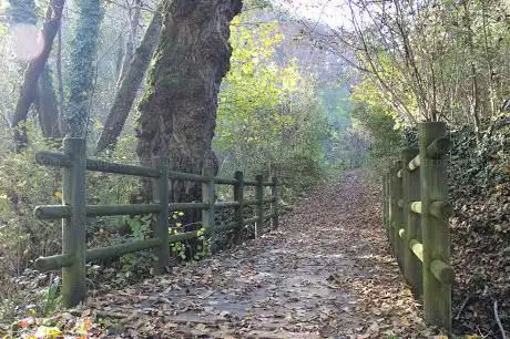 Photo de Sentiero 37 per il