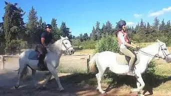 Stud De Lagnes