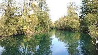 Photo de Canal De Savière