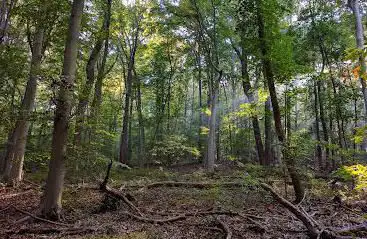 Photo de Robert B. Gordon Natural Area for Environmental Studies
