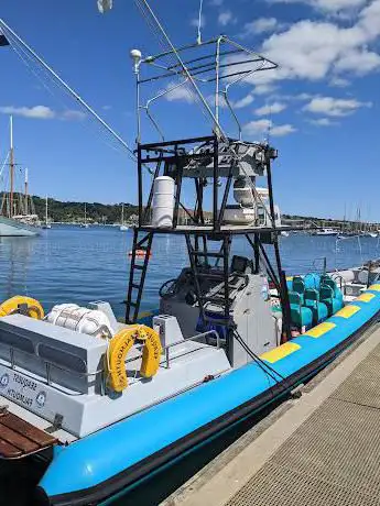 Orca Sea Safaris