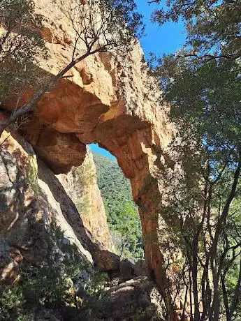 Sa mainga de sa pingiara