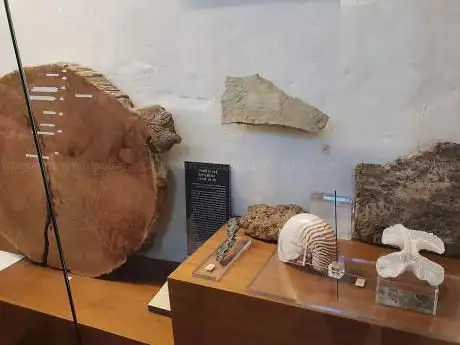 Photo de Musée terre et temps '' Edith Robert ''