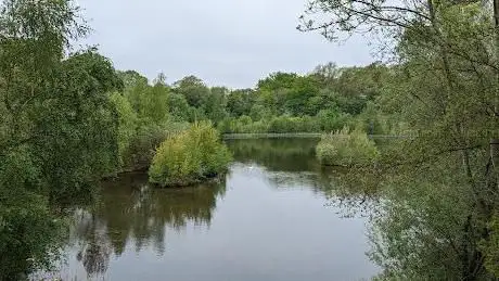 Bubbenhall woods and meadow nature reserve