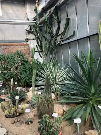 Photo de Les Serres Botaniques